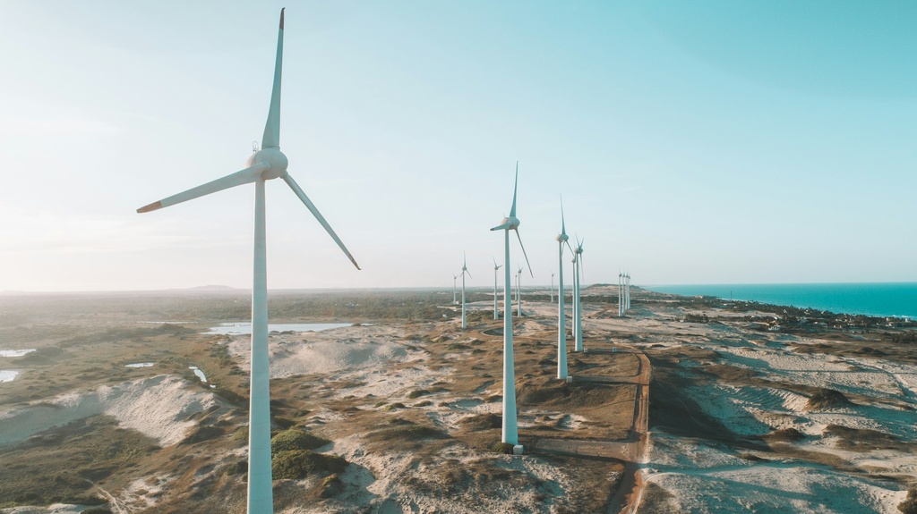 https://www.todobiodegradable.org/